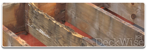 Rotting deck joists